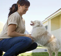 Dog boarding Alaska