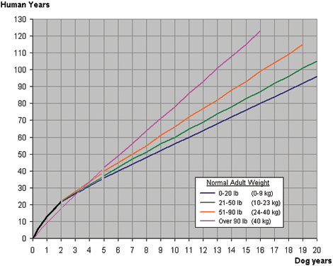 Dog age calculator