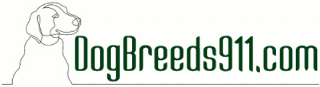 Dogbreeds911.com - Golden Shepherd pros and cons