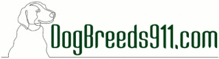 Dogbreeds911.com - dog boarding Wisconsin
