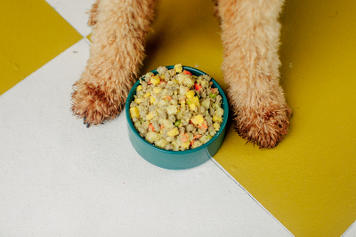 Nom Nom - freshly made dog food